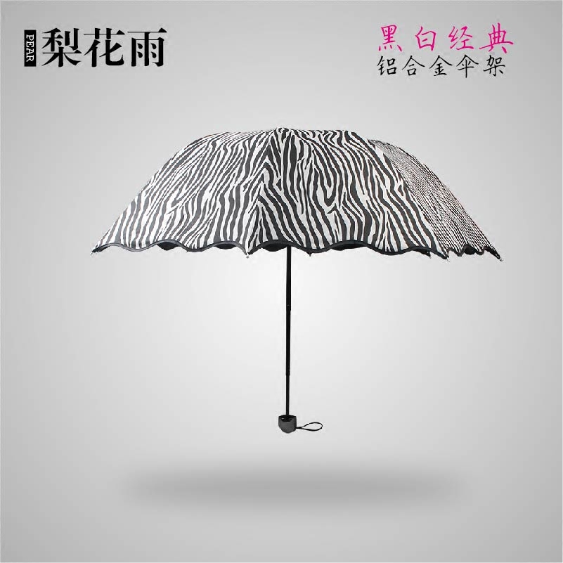 黑白斑馬紋黑膠晴雨傘遮陽雨傘折疊太陽傘防紫外線防曬傘簡約經典